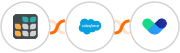 Grist + Salesforce Marketing Cloud + Vero Integration