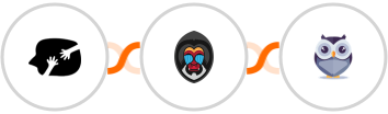 HappyForms + Mandrill + Chatforma Integration