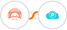 Hippo Video + pCloud Integration