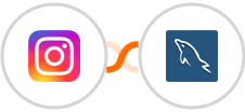 Instagram + MySQL Integration