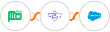 MailerLite Classic + VerifyBee + Salesforce Marketing Cloud Integration