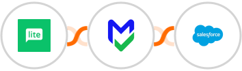 MailerLite + EmailVerify.io + Salesforce Integration