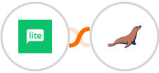 MailerLite + MariaDB Integration