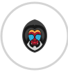Mandrill + FluentCRM Integration