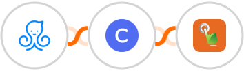 Manychat + Circle + SMS Gateway Hub Integration