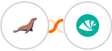MariaDB + Alegra Integration