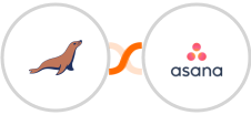 MariaDB + Asana Integration