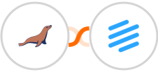 MariaDB + Beamer Integration