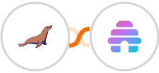 MariaDB + Beehiiv Integration