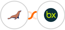 MariaDB + bexio Integration