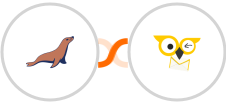 MariaDB + BirdSend Integration