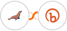 MariaDB + Bitly Integration