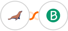 MariaDB + Brevo  (Sendinblue) Integration