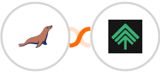 MariaDB + Bumpups Integration