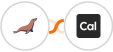 MariaDB + Cal.com Integration