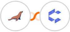 MariaDB + Concord Integration