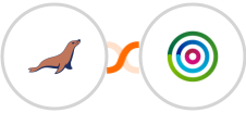 MariaDB + dotdigital Integration