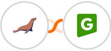 MariaDB + GREEN-API (In Review) Integration