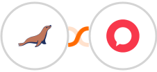 MariaDB + Halopsa Integration