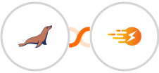 MariaDB + InstantPage.dev Integration