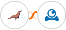 MariaDB + LiveWebinar Integration