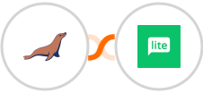 MariaDB + MailerLite Integration