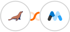 MariaDB + Memberstack Integration