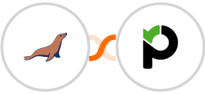 MariaDB + Paymo Integration