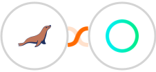MariaDB + Rossum Integration