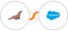 MariaDB + Salesforce Marketing Cloud Integration