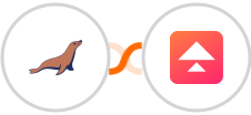 MariaDB + Upnify Integration