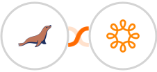 MariaDB + Wild Apricot Integration