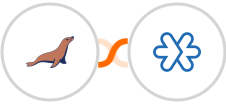 MariaDB + Zoho Meeting Integration