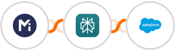 Mightyforms + Perplexity AI + Salesforce Integration