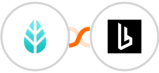 MoreApp + Browserless Integration