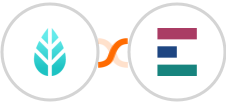 MoreApp + Elorus Integration