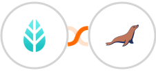 MoreApp + MariaDB Integration