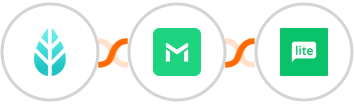 MoreApp + TrueMail + MailerLite Integration