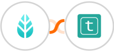 MoreApp + Typless Integration