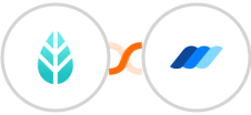 MoreApp + Wauld Integration