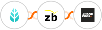 MoreApp + ZeroBounce + BrandPros Integration
