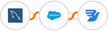 MySQL + Salesforce Marketing Cloud + MessageBird Integration