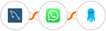 MySQL + WhatsApp + Builderall Mailingboss Integration