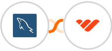 MySQL + Whop Integration
