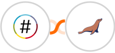 NationBuilder + MariaDB Integration
