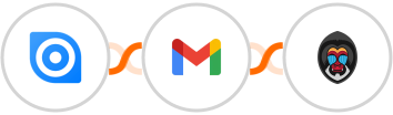 Ninox + Gmail + Mandrill Integration