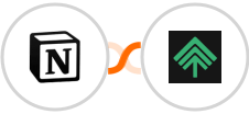 Notion + Bumpups Integration