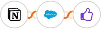 Notion + Salesforce Marketing Cloud + ProveSource Integration