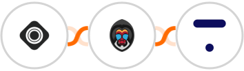 Occasion + Mandrill + Thinkific Integration