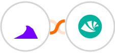 Omnibus + Alegra Integration